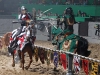 FREE TIME - Chivalry might be dead most days of the year, but at Medieval Times courtly manners come to life for birthday-celebrating guests.