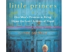 Little Princes by Conor Grennan 