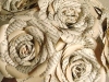 Paper roses, www.etsy.com