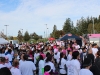 Runners and walkers prepare to start the CIBC Run for the Cure