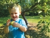 Children pick fresh apples from Spadina’s rich apple orchard.