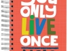 Your notes and get motivated with this quirky YOLO notebook. www.ecojot.com