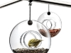 paloranta-bird-feeder