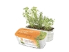 Herbs of Napoli combines oregano, rosemary and thyme. 