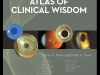 Dr. Fava co-edited Cornea and Refractive Atlas of Clinical Wisdom, a medical book that explores cornea and refractive surgery  