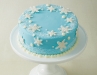 Snowflake  Winter  Wonderland Cake