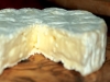 cheese5