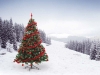 Pine or plastic? The classic Christmas tree debate