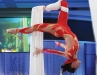 Sensational acrobatics by Zero Gravity dazzles guests.