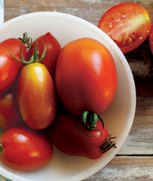 Time to Talk Tomatoes